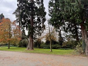 Photo 22- click for photo gallery